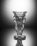 Křišťálová váza SCH26641215