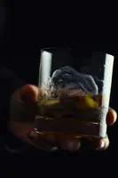 Sklenice na whisky sada 2 ks PAS276B25089380