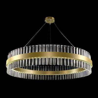 Modern pendant light L-OE-CIR-02